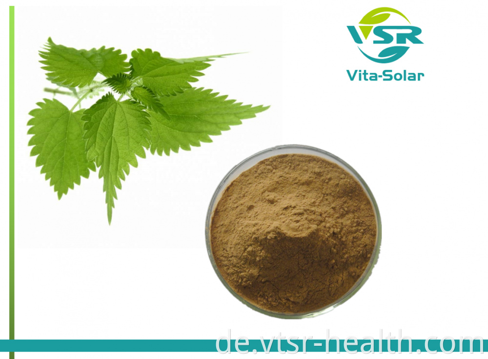 Nettle Extract 0.8%